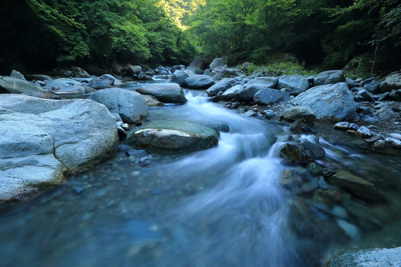 water rushes through a rocky river in the woods, rushing stream 4k