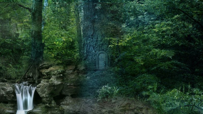 forest, trees, waterfall, landscape, 4k