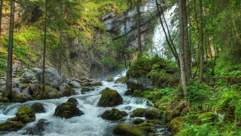 forest, waterfall, river, rocks, landscape, 4k