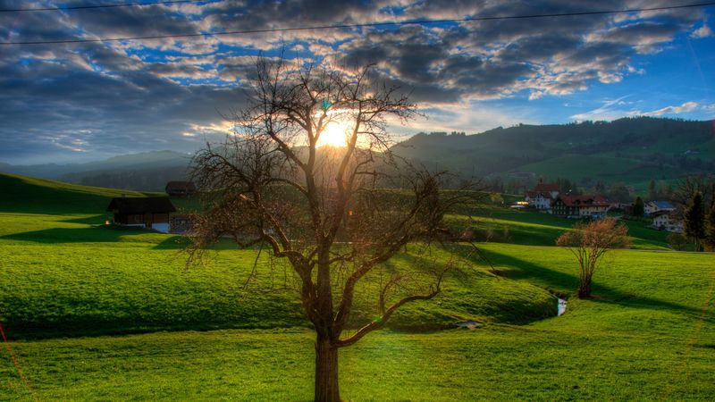 sunset, field, stream, landscape, 4k