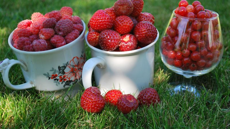 berries, raspberries, currants, red, strawberry, summer, mugs, cups, glass, grass, close-up, 4k