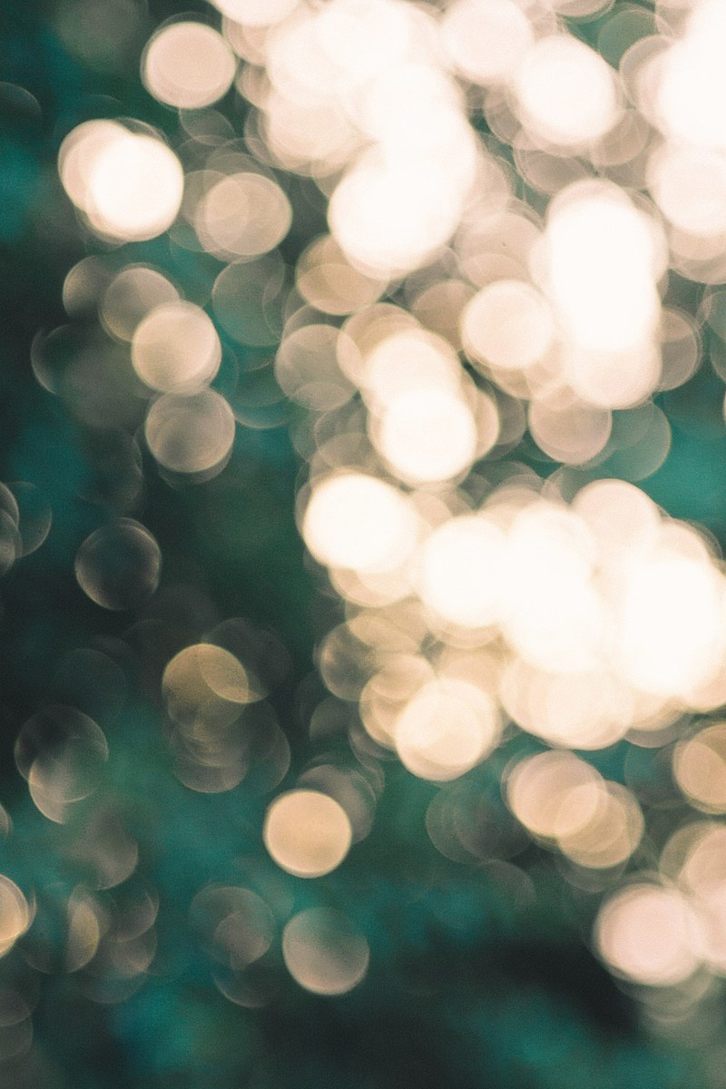 bokeh light bubbles and nature hd, 4k