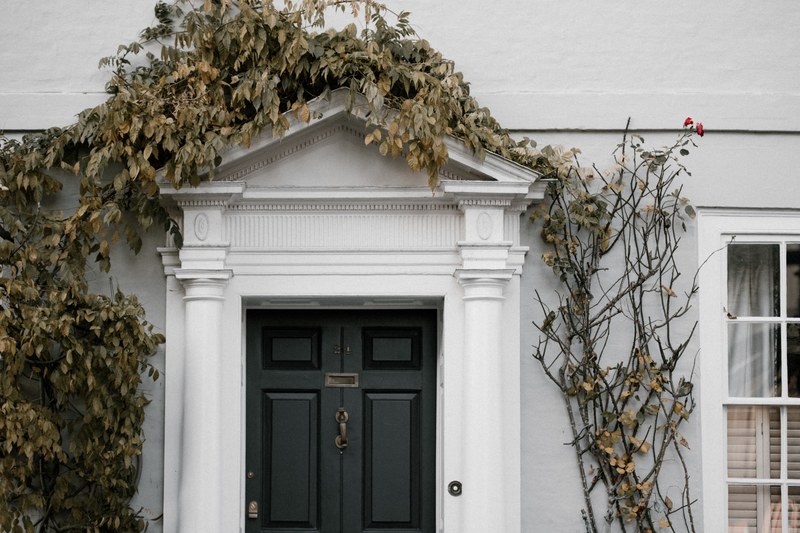 door and ivy 4k