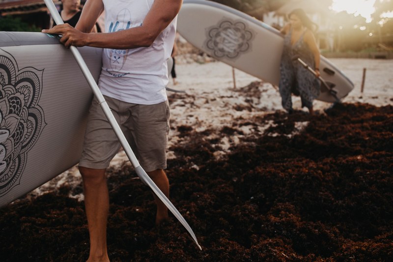 surfing surfer paddle board and oar 4k
