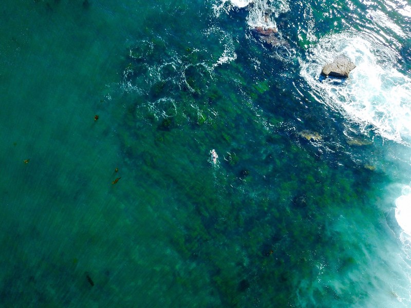 ocean sport surfer and surfing 4k