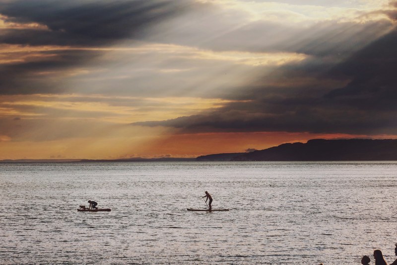 a couple and their dog paddle boarding 4k