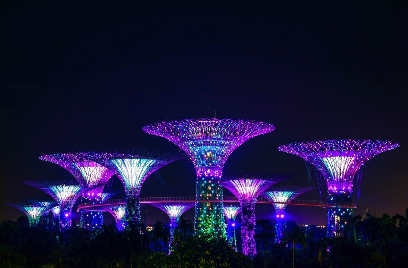 large tree like structures lighted up in purple at night, supergrove trees 4k