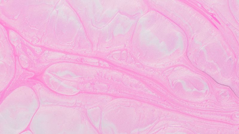 abstraction, pink, stains, paint, 4k