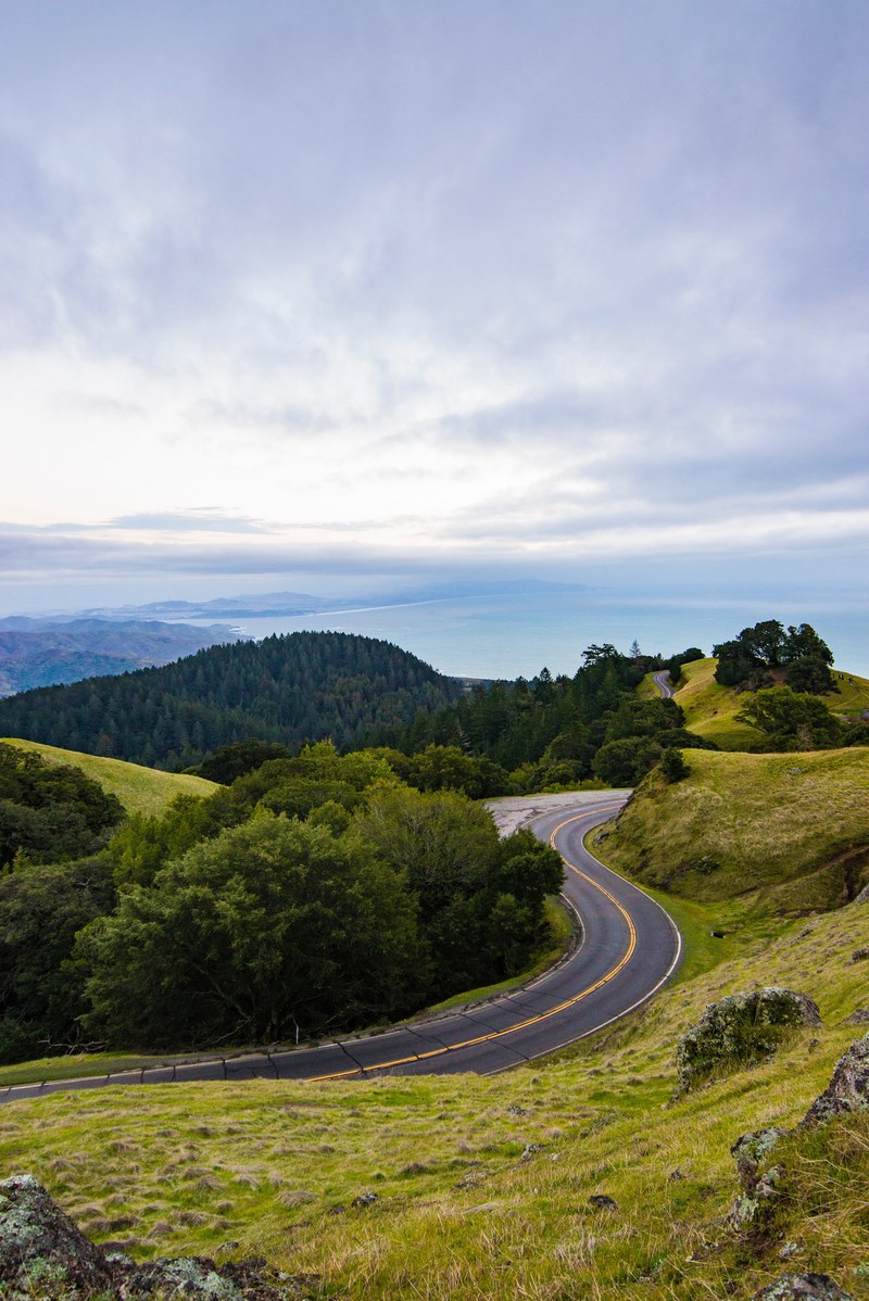 tree hill road and bend hd, 4k