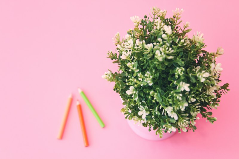 a pot of flowers next to pencils, _flowers in pot by pencils 4k