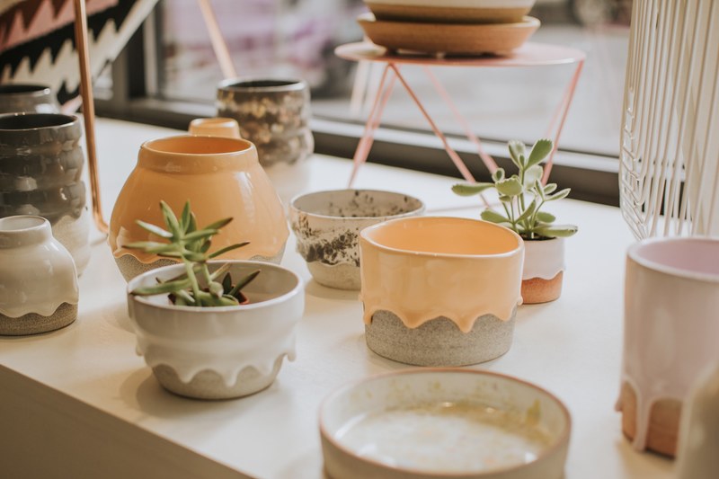 pot planter succulent and display 4k