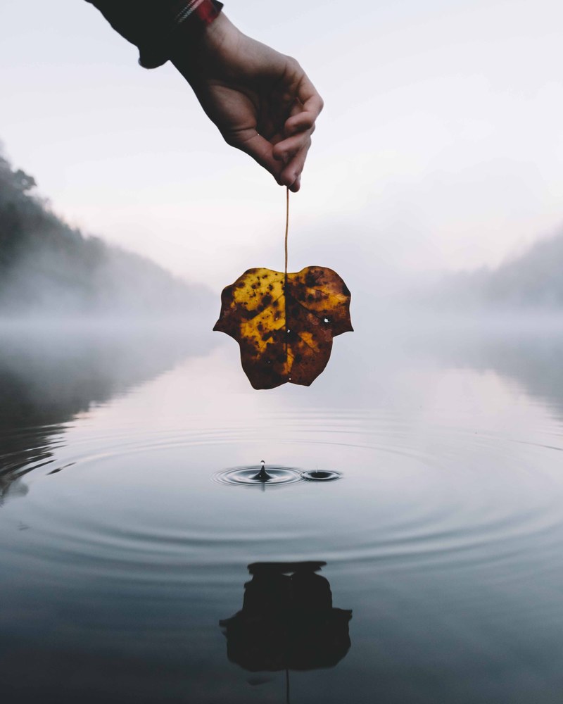 leaf lake droplet and splash hd, 4k