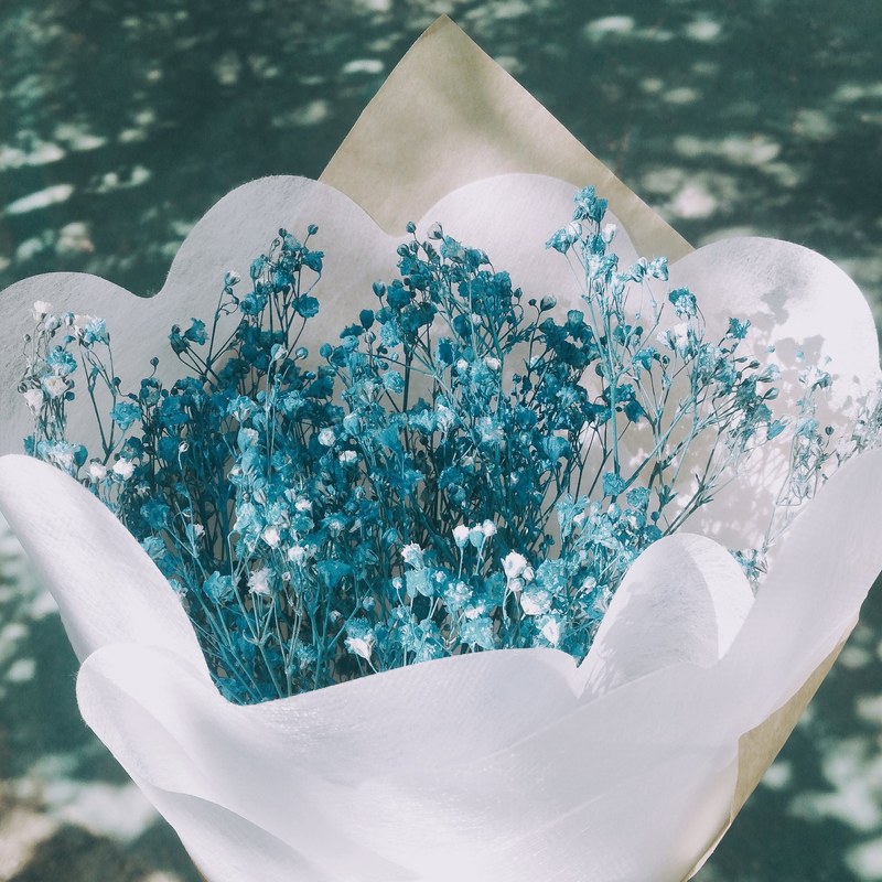 a bouquet of tiny white flowers wrapped in white paper, white floral bouquet in sunlight 4k