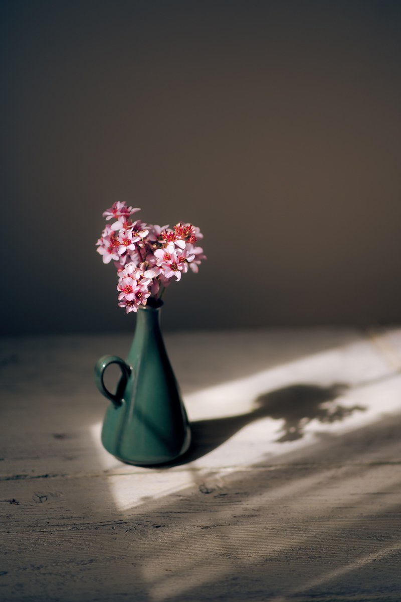 small pink flowers in a green vase casting a shadow on a wooden surface, modest pink flowers in a vase 4k