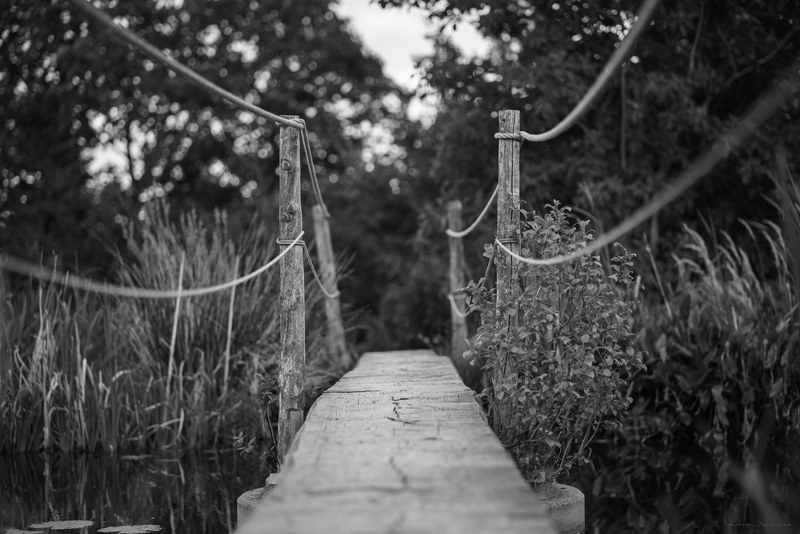 a black and white photograph of a narrow wooden plank bridge with rope arm rails beside tall grass, monochrome wooden bridge 4k