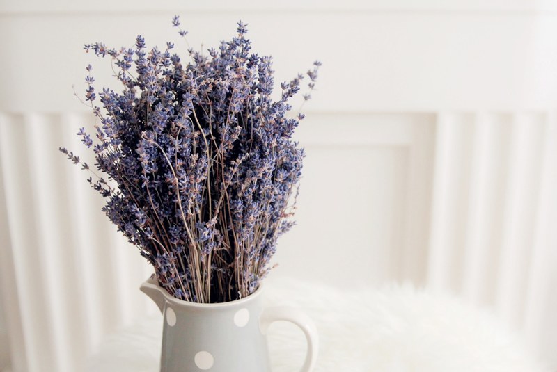 purple lavendar vase and jug 4k
