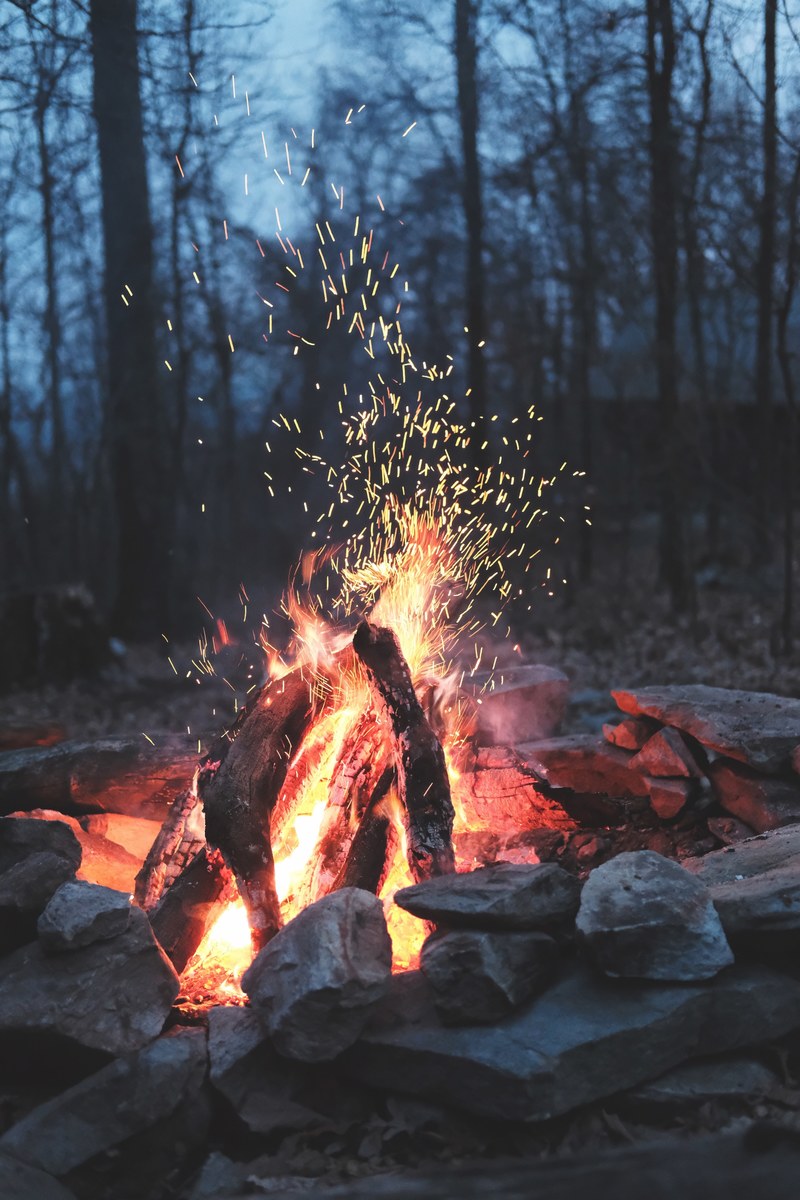 fire campfire flame and forest hd, 4k