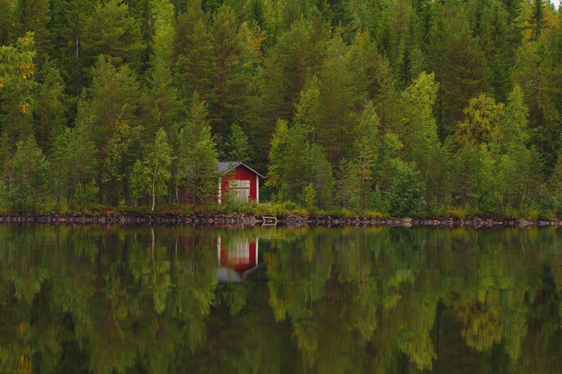 house cabin chalet and tree 4k