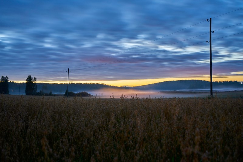 mist over a brown field on a cloudy evening, evening over a brown field 4k