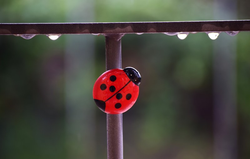 funny object pop and red 4k