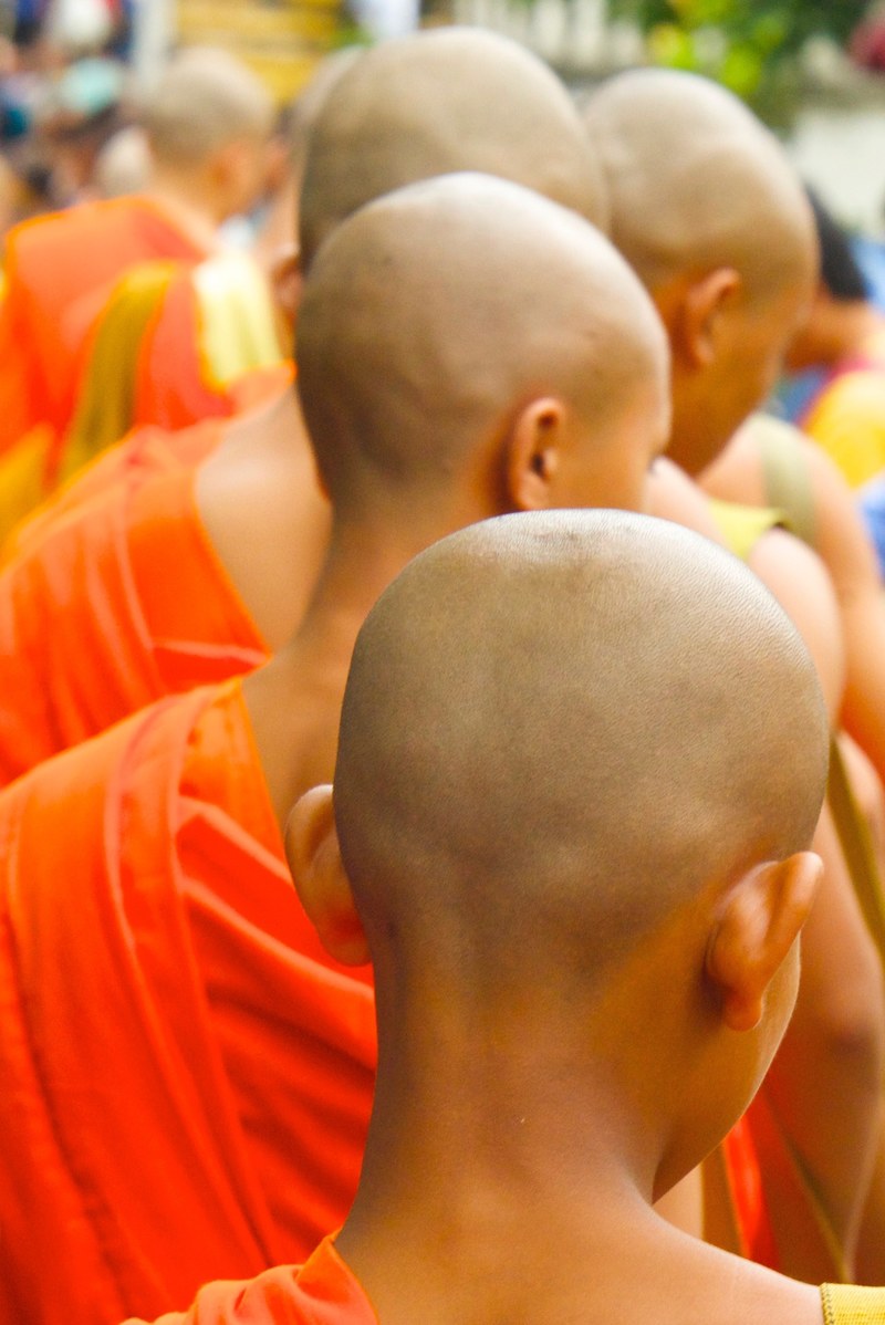 man monk male and bald hd, 4k