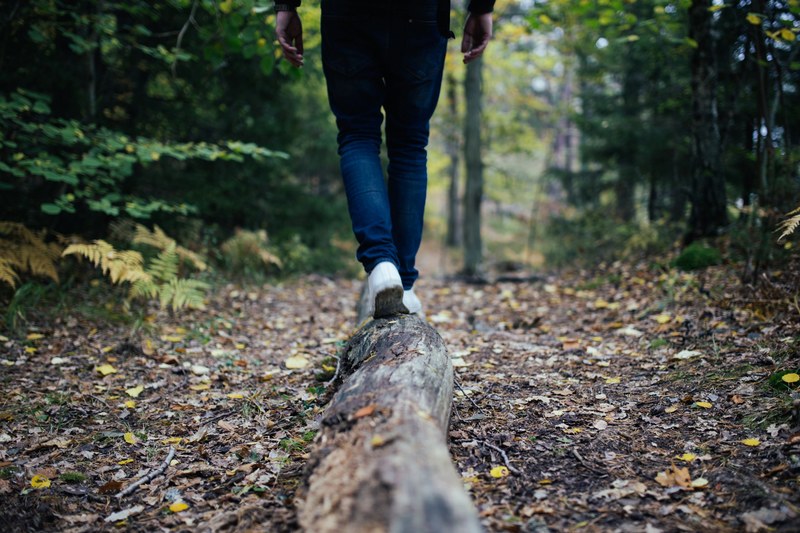 a person balancing and walking across a log in a trail in a forest, hiker on a log 4k