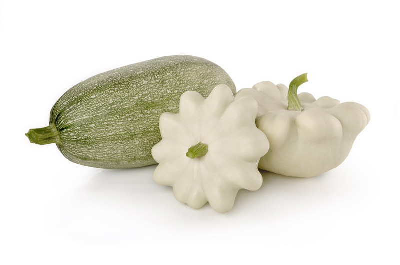 zucchini squash vegetables melons rural isolated 4k