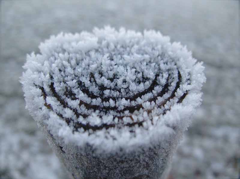 winter white cold snow wintry snow magic crystal 4k