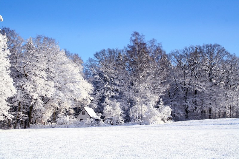 winter landscape snow cold wintry snowy rest 4k
