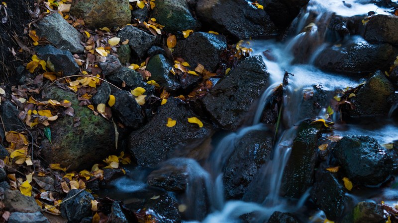 waterfall leaves water nature natural water 4k