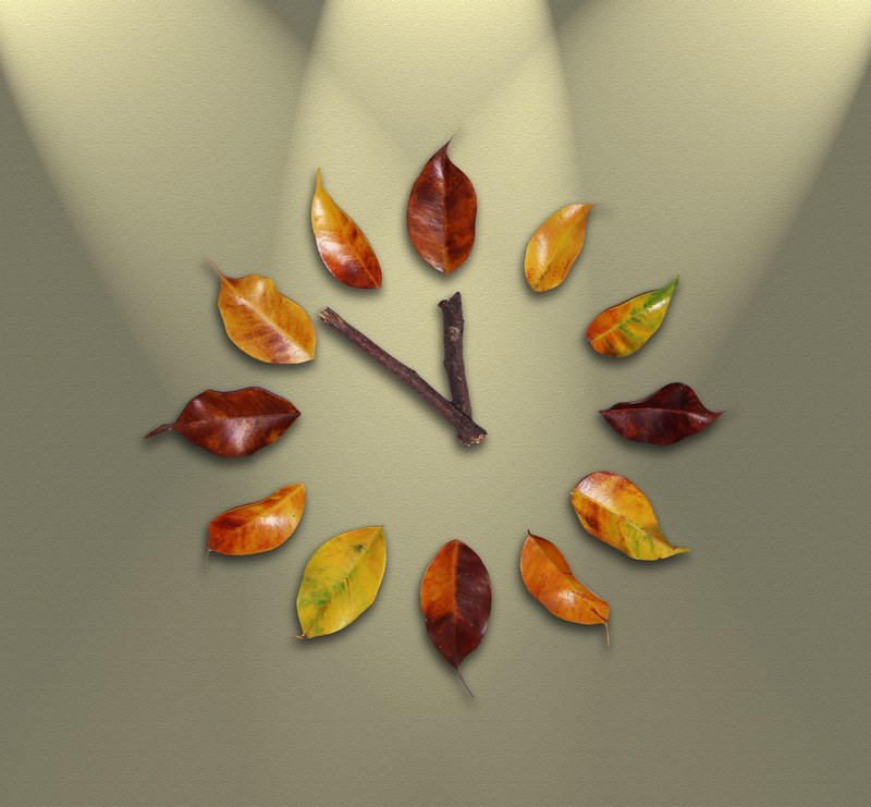 watch time leaves pointers time passing minutes 4k