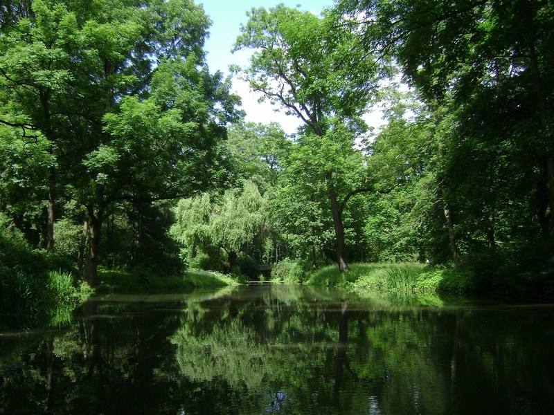 warsaw poland park forest trees woods lake pond 4k