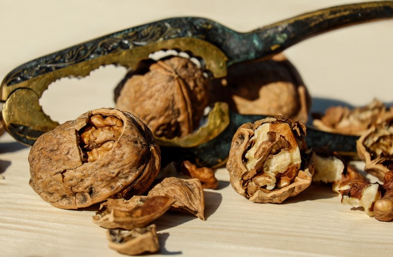 walnut nut brown fruit bowl food healthy 4k