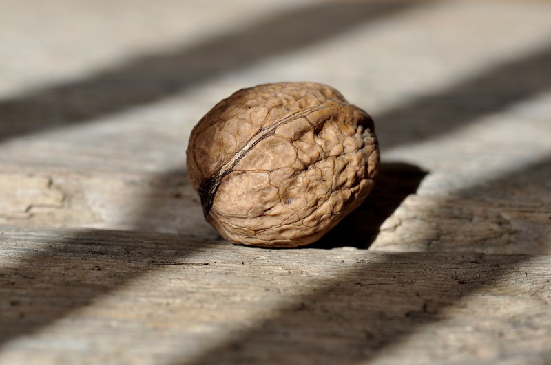 walnut nut fruit bowl healthy delicious 4k
