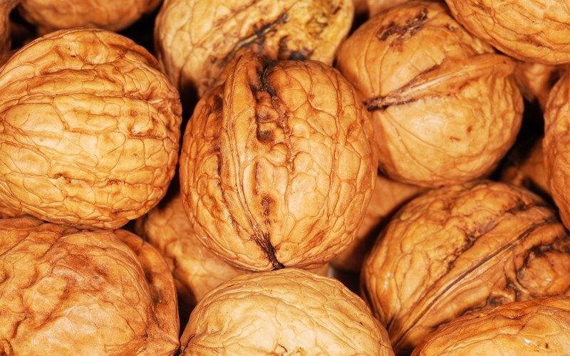 walnut walnuts nuts brown nut healthy natural 4k