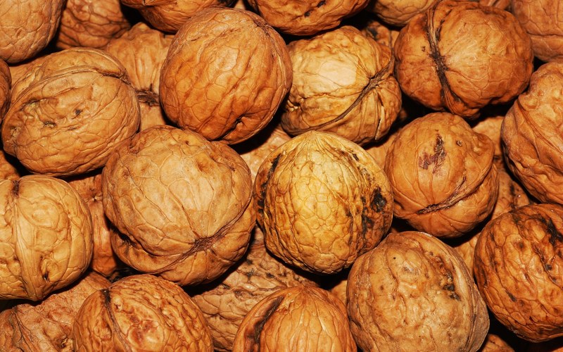 walnut walnuts nuts brown nut healthy natural 4k