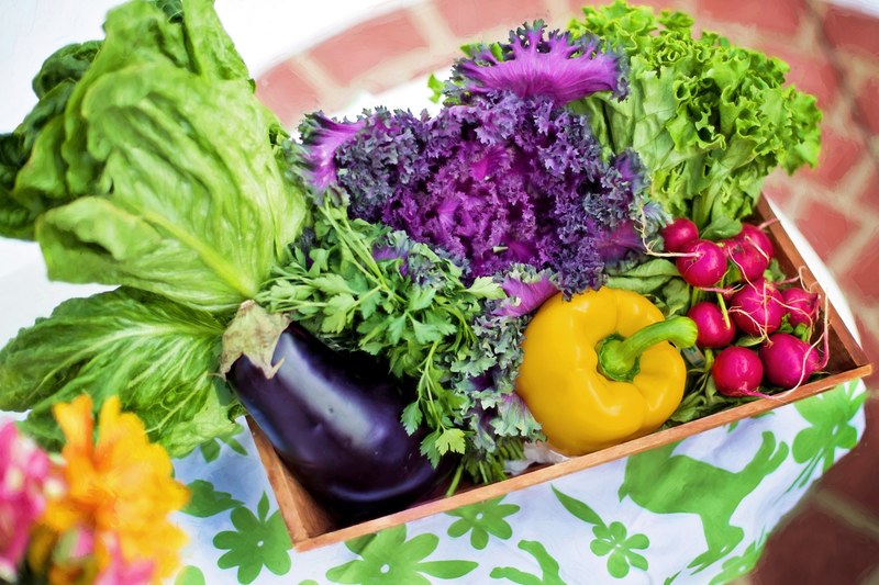 vegetables garden harvest organic green gardening 4k