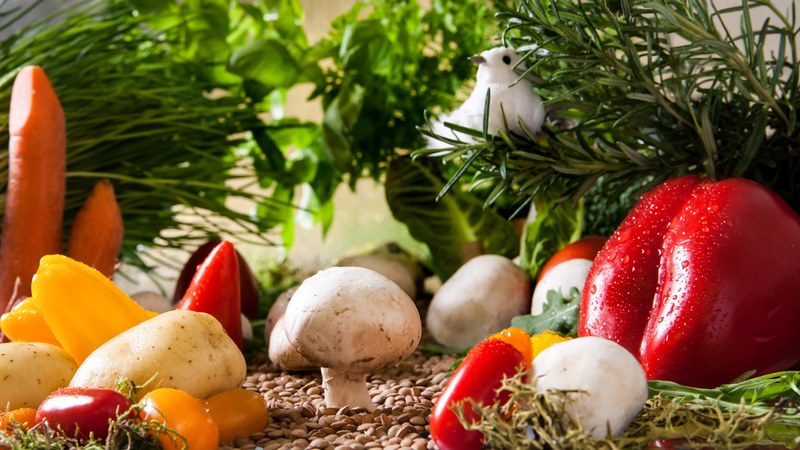 vegetables landscape garden vegetables tomatoes 4k