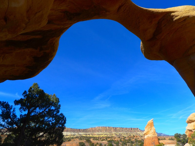 utah arch trees mountains nature outside 4k