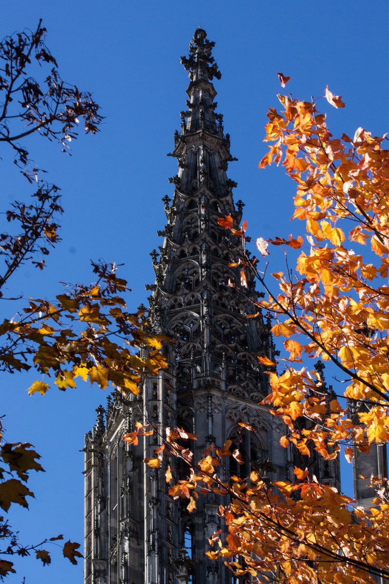 ulm cathedral architecture building church 4k