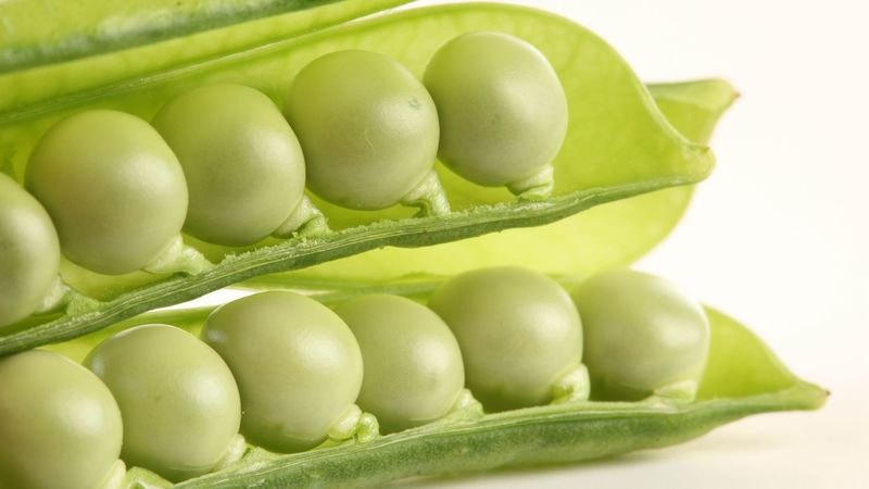 peas, cut, white background, bean, 4k