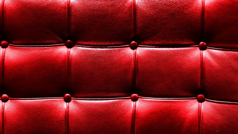 texture, skin, surface, 4k