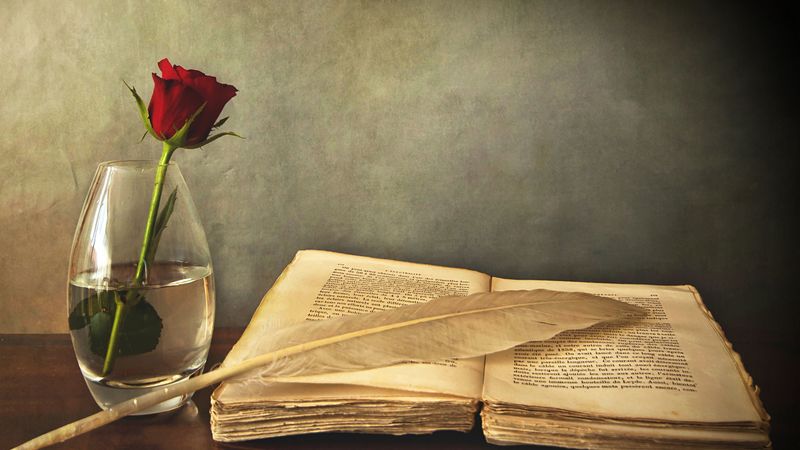 book, old, pen, table, vase, rose, red, 4k