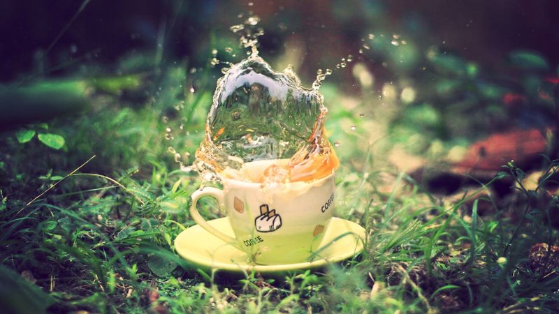 tea, spray, earth, grass, saucer, green, cup, 4k
