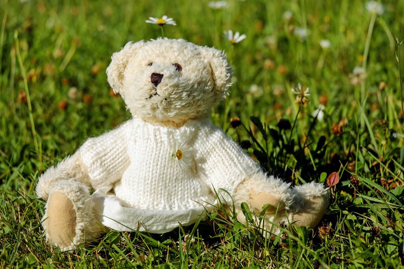 teddy plush bears cute teddy bear meadow 4k