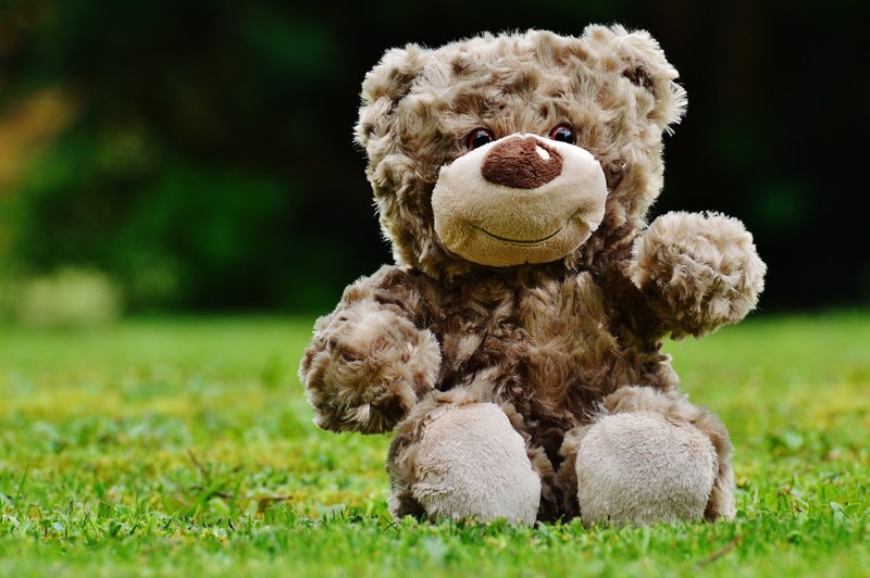 teddy soft toy stuffed animal teddy bear cute 4k