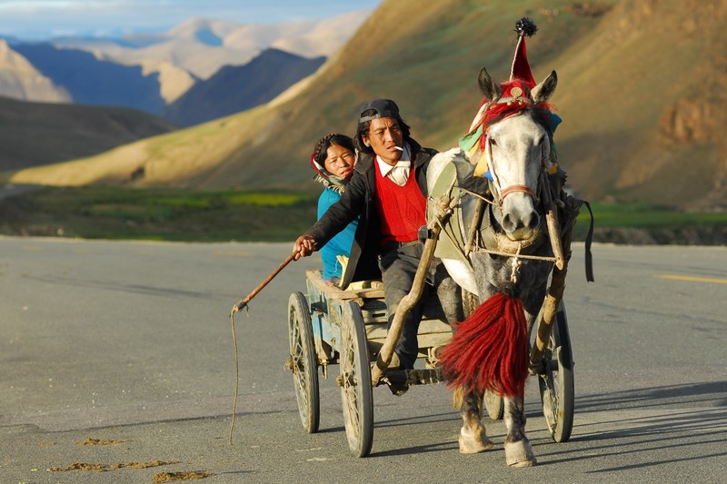 tibet transport landscape coach 4k