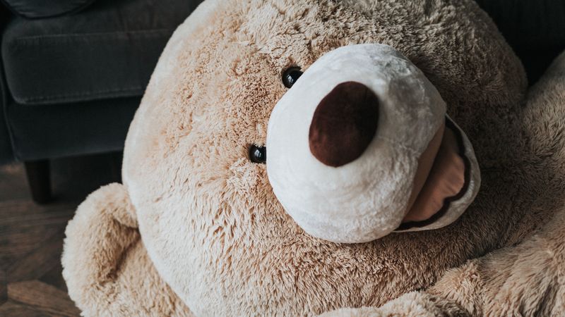 bear, toy, plush, 4k