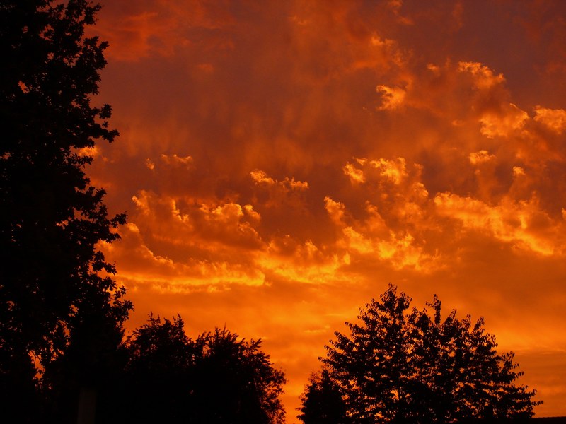 sunset red clouds sky evening evening sky 4k