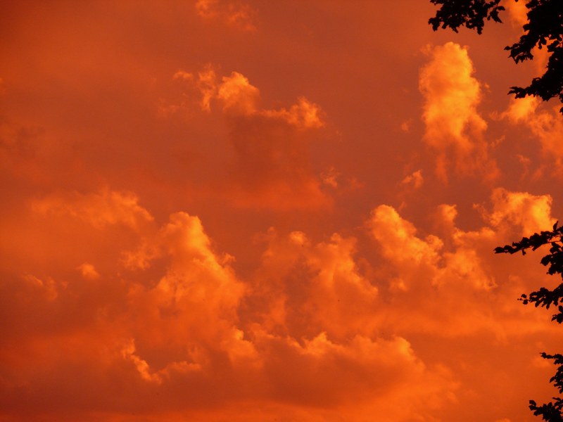 sunset red sky clouds orange mood evening 4k